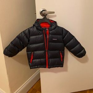 12-18M Boy Patagonia Jacket